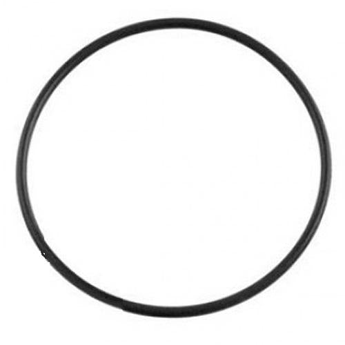 Monarch Ecopure P4 O Ring Filter Tank Lid - Heavy Duty Pool Spa Gasket