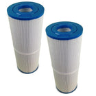 Rainbow Dynamic RDC 25 2 Pack Filter Element - Water TechniX Spa Cartridge