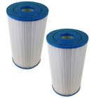 Hot Springs C30 Filter Element 2 Pack - Water TechniX Spa Cartridge