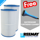 Davey EC CF 1000 Easy Clear Element 2 Pack - Water TechniX Pool Filter + WATERWAND