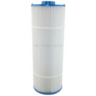 Poolrite CL55 CL110 Element 2 Pack - Water TechniX Pool Filter + WATERWAND