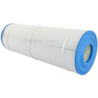 Aquaswim CF75 Element 2 Pack - Water TechniX Pool Filter + WATERWAND